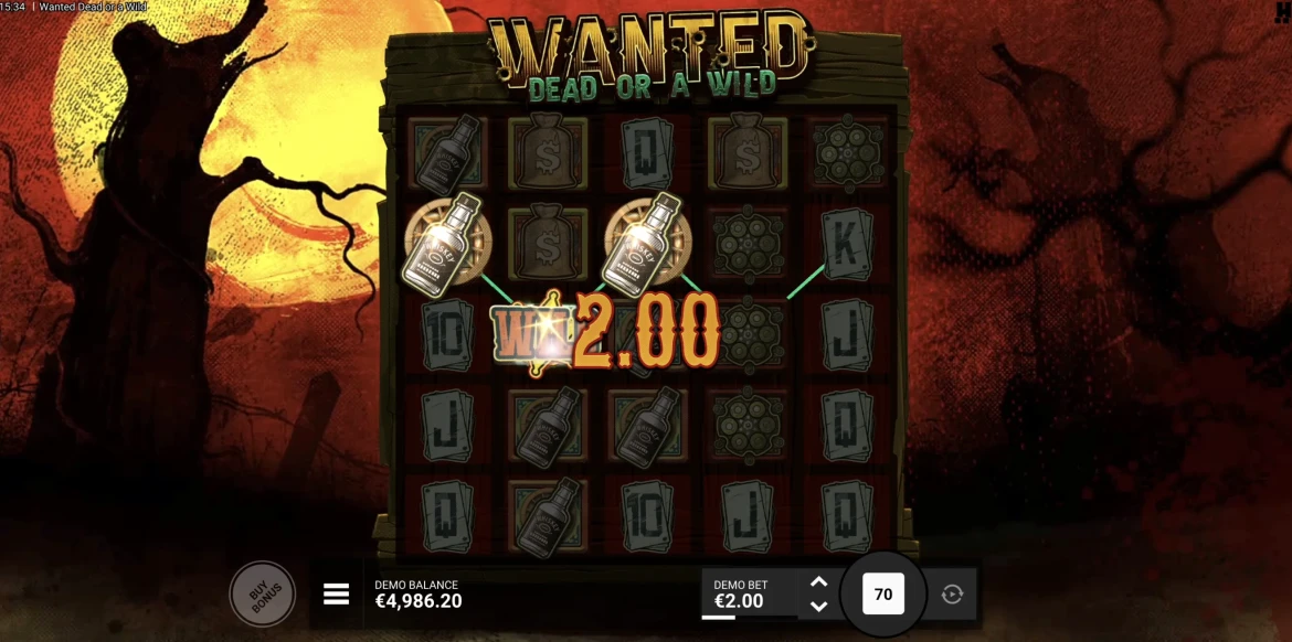 Wanted Dead Or A Wild